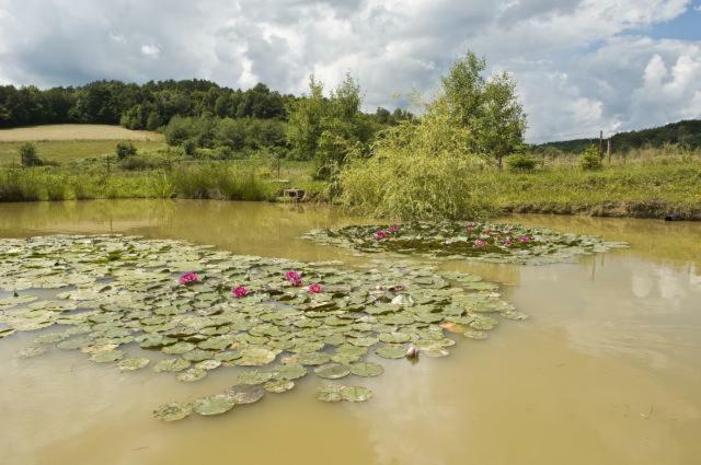 Apartments Mali Raj Dolenci Zewnętrze zdjęcie